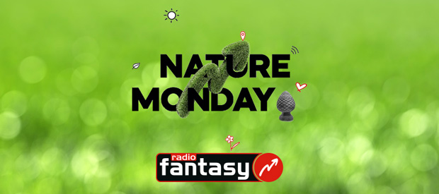 Beitragsbild zum Artikel "Nature Monday bei Radio Fantasy"